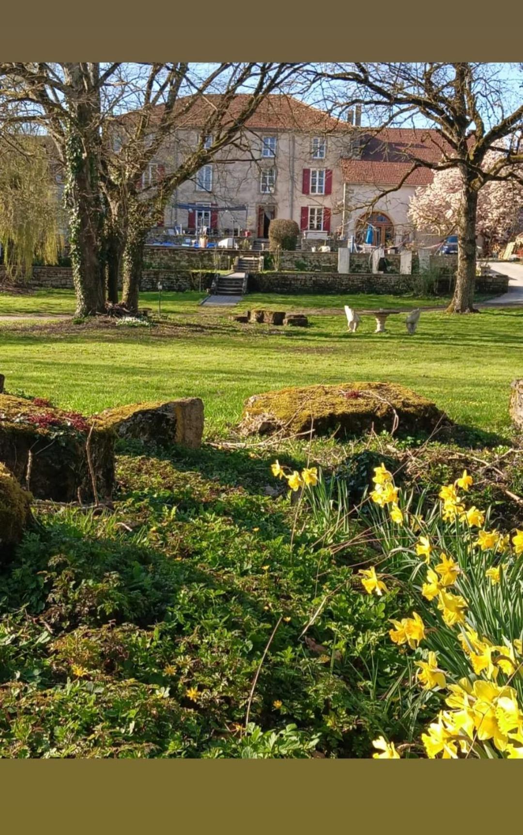 Saint-Ouen-les-Parey Le Domaine D'Elise Chambres Et Table D'Hotes - Vosges מראה חיצוני תמונה