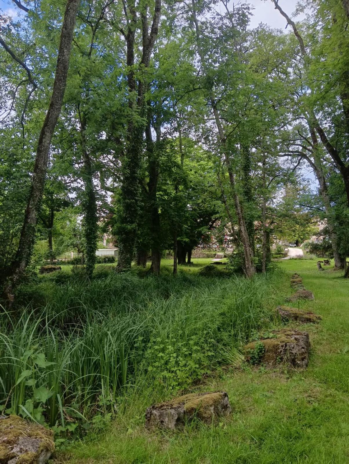 Saint-Ouen-les-Parey Le Domaine D'Elise Chambres Et Table D'Hotes - Vosges מראה חיצוני תמונה